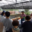 문정농장 이미지