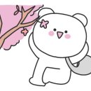 페퍼콘(peppercorn)