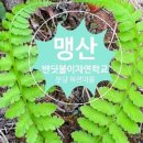 자연알로(성남) 이미지