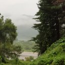 피그멜리온 이펙트 이미지