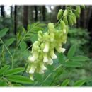 한마음약업사 이미지