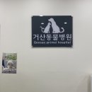 거산동물병원 이미지