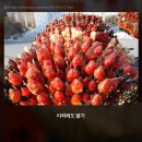 탕후루와꼬치 이미지