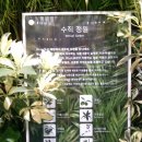 이니스프리건대 이미지