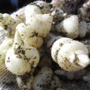 가남정보화마을 이미지