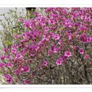 모악산주유소 이미지