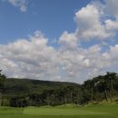 이스트스크린골프 이미지