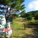 깃발목장 이미지