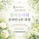 짚누리 | 상담사가 되기 전에, 자기이해부터 다시 시작한 이유 (컬러플라워마음학교)