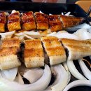 힘찬장어 이미지