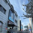 참호도과자 | 천안 할머니학화호도과자 버터쫀득 호도과자 구매 실패 후기 살앙 리코타 호도과자 구매