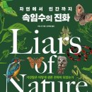 세종문구，서적