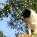 고원빌딩 이미지