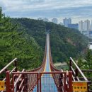 고동바위공원 | [울산/갈곳] 울산 동구 대왕암공원 기암괴석 산책로