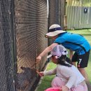 여수농장 이미지