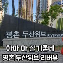 평촌두산위브리버뷰_상 | 평촌두산위브리버뷰 (낮) 임장후기