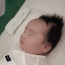 모도리 | 주방도마 &amp; 이유식도마 추천! '내돈내산' 모도리 깔끔 도마세트 후기