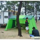 연포해수욕장(송림) 이미지