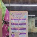 조치원체육공원(테니스장) 이미지