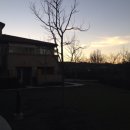 피피푸푸 이미지