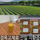 지황한의원 | 경옥고재료 생지황 도매 선일지황즙