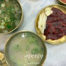 보람동_세종남부경찰서 버스정류장 | 세종 점심 보람동맛집 세종한우곰탕 국밥 뭉티기