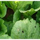 만호농장 이미지