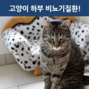선화로8길 이미지