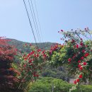 솔언덕펜션