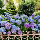 파랑새정원 이미지