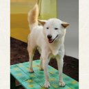 하나로 클럽 이미지