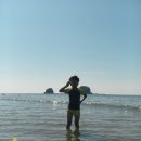 장고도8 이미지