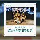 용인 아이랑 갈만한 실내 여름방학 꿀벌 마야의 모험 5살 아이의 후기