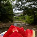 호수가아름다운집