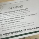 순천향구강악안면외과치과의원 | 사랑니 발치 후기 ㅣ 차앤백구강악안면외과치과의원