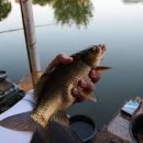 영림농장 이미지