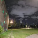 아트 온 스크린-부에나비스타소셜클럽 이미지