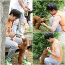 애견사랑 이미지