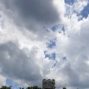 창주 이성길 묘 | 왜적과 여진족을 물리친 조선 후기 문신 이성길 선생