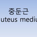 화목한의원 이미지