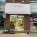 [당진꽃집] 엘더플라워