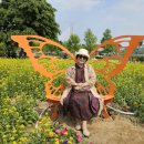 희망의 꽃밭에서 이미지