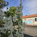 수룡동경로당 이미지