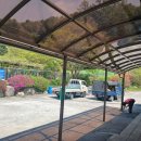 국민렉산