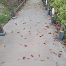 게스트하우스젠 이미지