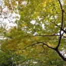 평촌시립도서관 이미지