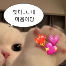 다해랑 이미지