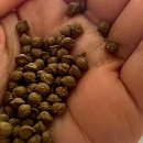 여주-1044 이미지