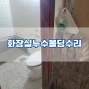 신동광택 | 경기도화성 화장실 누수로 썩은몰딩 몰딩복원수리