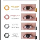 으뜸50 안경 응암점 이미지